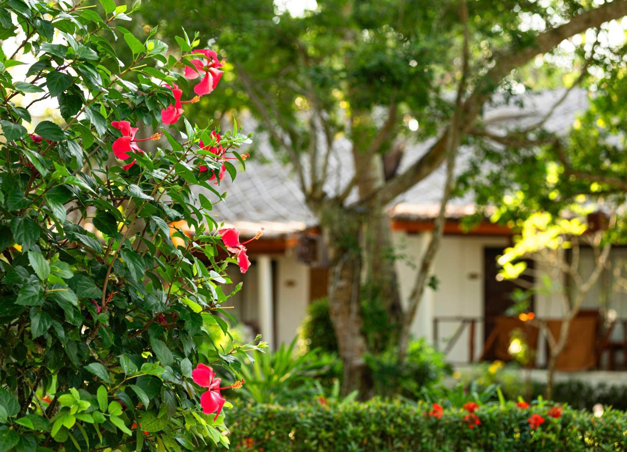 Lipa Lodge Beach Resort Lipanoj Kültér fotó